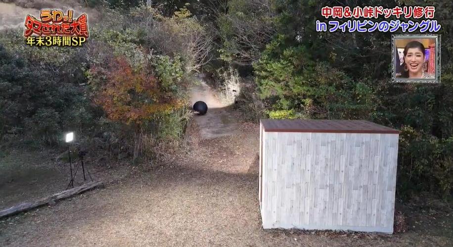 “日本整蛊艺人”综艺节目叫什么？快来了解这档叫爆笑挑战者的热门节目