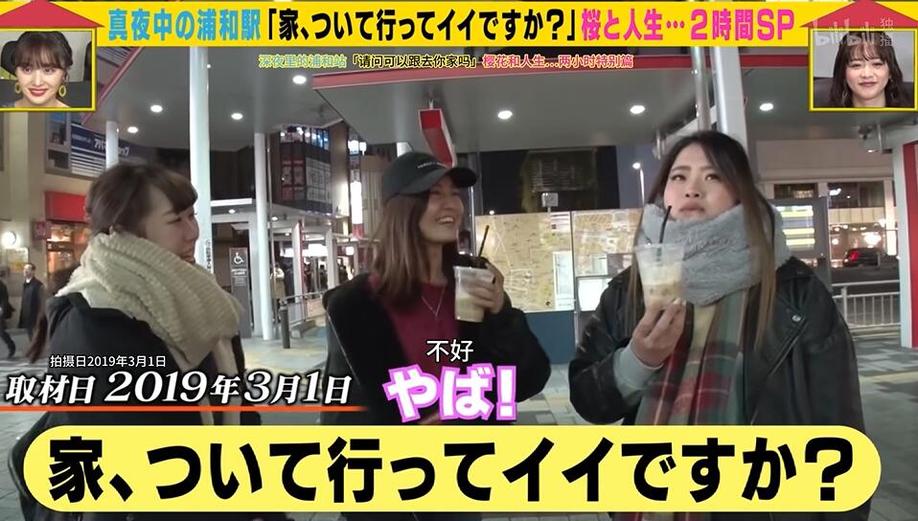 日本综艺节目大揭秘：一个猩猩一条狗叫什么主题被赞独具匠心