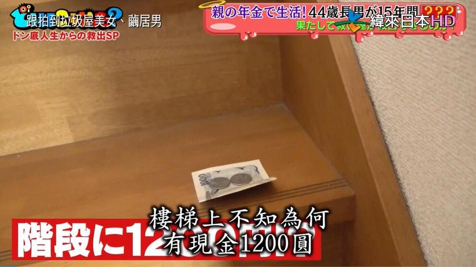 热门日本综艺节目直播回放，这些平台最受欢迎